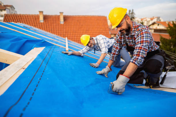 Best Roof Gutter Cleaning  in Strasburg, CO